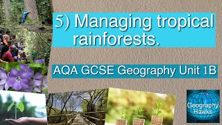 5 Managing tropical rainforests  AQA GCSE Geography Unit 1B [upl. by Ahsinid]