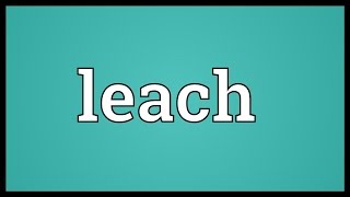 Leach Meaning [upl. by Ruthi397]