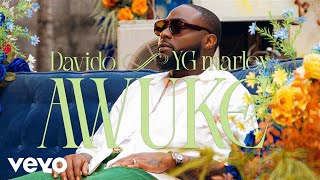 Davido YG Marley  Awuke Official Video [upl. by Aduhey918]