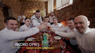 Andrei Opris  Fainai viata si paharu  Video Oficial [upl. by Azral]