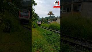 S14 train arrival to Peradeniya train railway [upl. by Zapot354]