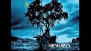 Shinedown  45 [upl. by Orecul]