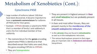 Xenobiotics metabolism [upl. by Pearson4]