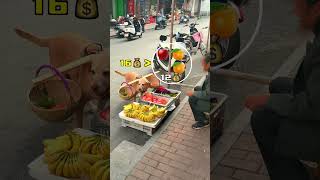 狗狗買水果算帳比人還精Dogs are better at settling accounts when buying fruit than humans [upl. by Cthrine]