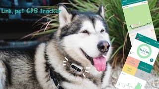 Link Dog GPS tracker review [upl. by Ahsirkal]