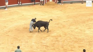 Vaquillas Feria de Albacete 2024 11 de septiembre [upl. by Yul783]