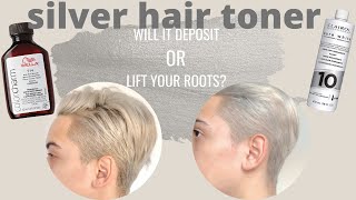 Toning Hair Silver with 10 Developer  Wella T14 Toner [upl. by Sivla]