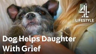 Adorable Dog Helps Heal a Grieving Family  The Dog House  Channel 4 [upl. by Arrak]