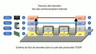 Cest quoi le TCPIP [upl. by Askari]