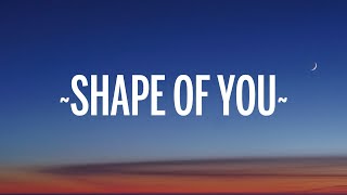 Ed Sheeran  Shape of You Lyrics [upl. by Namad]