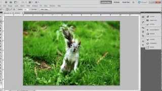 How to Blur Background in Photoshop CS5 [upl. by Weiler92]