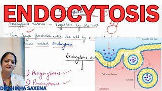 Endocytosis Types Phagocytosis Pinocytosis mechanism clathrin mediated endocytosis [upl. by Connel390]