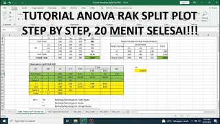 Anova Split Plot RAK Split Plot Design in Randomized Block Design [upl. by Whyte115]