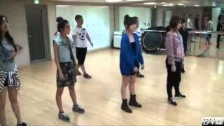 T ARA  Roly Poly dance practice DVD [upl. by Krenn883]