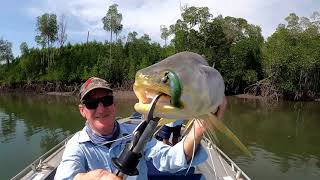 Threadfin Salmon on Soft Plastics with NT Guide Warren Smith [upl. by Hilbert665]