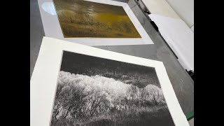 Photopolymer Photogravure Demonstration [upl. by Jacobson985]