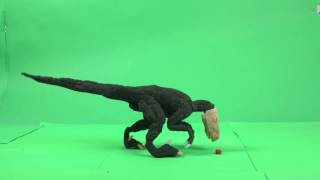 Stopmotion raptor walk test [upl. by Radley]