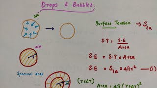 Drops and Bubbles  Class 11 Physics  Chapter 10 Mechanical properties of fluids [upl. by Andromede]