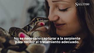 ✅ Qué hacer ante una NORDEDURA de SERPIENTE venenosa  Salud180 🌿 [upl. by Avla]