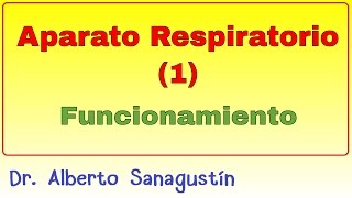 Aparato Respiratorio 1 funcionamiento [upl. by Harifaz]