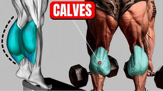 BEST CALVES EXERCISES  GROW YOUR CALVES  CALVES WORKOUT [upl. by Darach733]