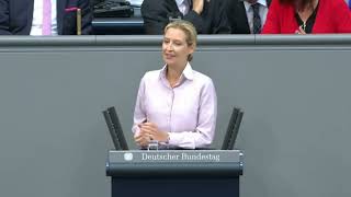 🔥📣 Dieses Land wird von Idioten regiert  Alice Weidel  AfD Bundestag [upl. by Ahsaetal1]