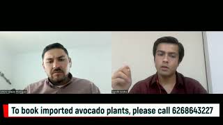 How to sell Ripe n Ready avocados in India 6268643227 [upl. by Notserc]