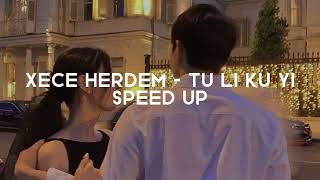 Xece Herdem  Tu li ku yi Speed up [upl. by Kcuhc]