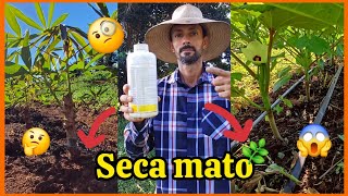 🌿🌿Seca mato para limpar sua hortao melhor herbicida Diquati🌿💪 [upl. by Brody674]