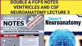 Double A Fcps notes Neuroanatomy Ventricles and CSF [upl. by Zenobia68]