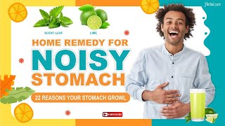 Home remedy for Noisy Stomach  Stomach Growling  Stomach Rumbling  Borborygmi [upl. by Louanna]