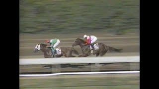 1998 Haskell Invitational Stakes [upl. by Nawat]