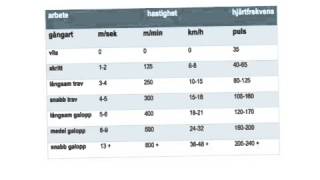 Olika typer av tabeller [upl. by Gnilsia]