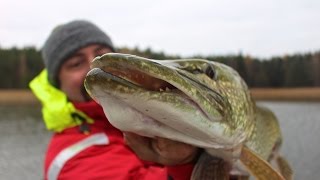 Pike Fishing in the Baltic Sea the Life at Pikepride Lodge [upl. by Barnett]