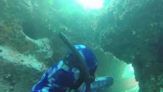 Spearfishing Wollongong vol2 [upl. by Welker]