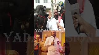 Baahubali Dunna Laddu Yadav in Skanda Movie  స్కంద మూవీ లో బాహుబలి దున్న లడ్డు యాదవ్  sadar [upl. by Cousins]