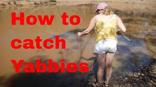 How to catch yabbies [upl. by Whitcomb]