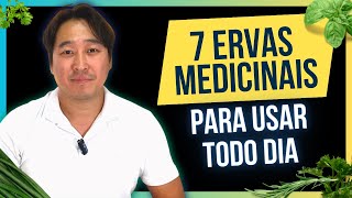 7 potentes ERVAS MEDICINAIS para usar no dia a dia [upl. by Yve]