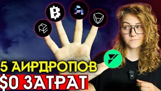 ТОП5 активностей для ЗАРАБОТКА КРИПТЫ без вложений  Подробная Airdrop Инструкция [upl. by Franciska]