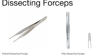 Knowledge Bytes uploaded Dissecting Forceps  Types  Uses  Simplified 🩺 [upl. by Royd]