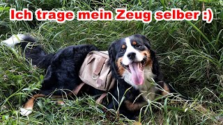 One Tigris 🔴 Hunderucksack  Outdoor mit Hund Geschirr Wandern [upl. by Bergeron]