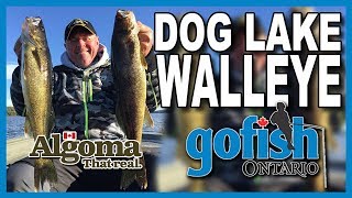 Dog Lake Walleye New season teaser [upl. by Persons]