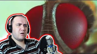 Producer Reacts Eega Movie Trailer Suresh Productions  Kiccha Sudeep [upl. by Lrem]