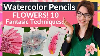 Watercolor Pencils FLOWERS 10 Fantastic Techniques [upl. by Ailla659]