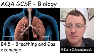 B45  Breathing and Gas Exchange  AQA Biology GCSE 91 [upl. by Aseuqram]