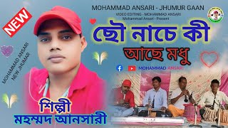 ছৌ নাচে কি আছে মধু  মহম্মদ আনসারী ঝুমুর গীত MohammadAnsarijhumur puruliajhumargan2024 [upl. by Yrreb669]