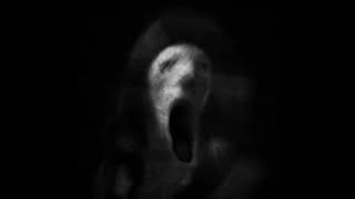 Distorted Horror Scream Sound Effect [upl. by Elleryt]