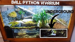 I Built A New Ball Python Vivarium With Crayfish [upl. by Raffarty]