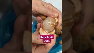 Best Way How to Eat and Peel Duku Fruit exotic fruit viralvideo [upl. by Afra]