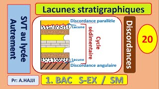 Lacunes stratigraphiques discordances et surfaces durcies [upl. by Eisserc571]